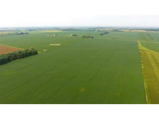 Property photo 4 - IMPORTANT OHIO LAND AUCTION - 325.5+/- ACRES OFFERED IN 8 TRACTS IN PICKAWAY COUNTY, OHIO
